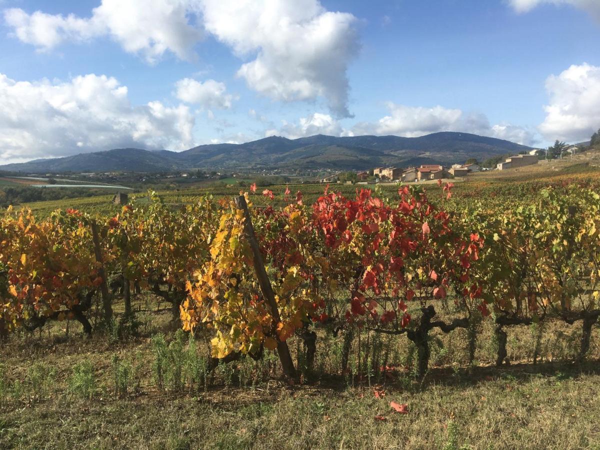 Chambre Spacieuse Le Clos Des Vignes Chavanay 외부 사진