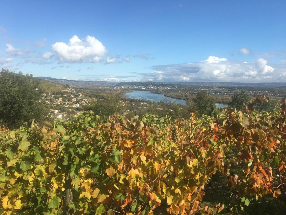 Chambre Spacieuse Le Clos Des Vignes Chavanay 외부 사진