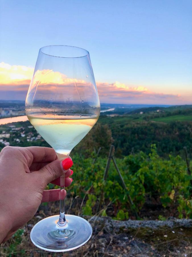 Chambre Spacieuse Le Clos Des Vignes Chavanay 외부 사진